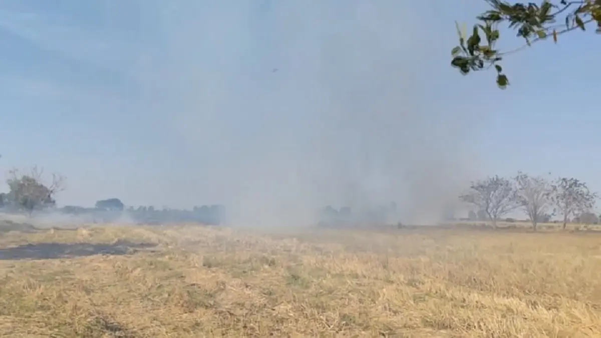 โคราชฝุ่น PM 2.5 พุ่งเกินมาตรฐาน ผู้ว่าฯสั่งคุมเข้มลักลอบเผา