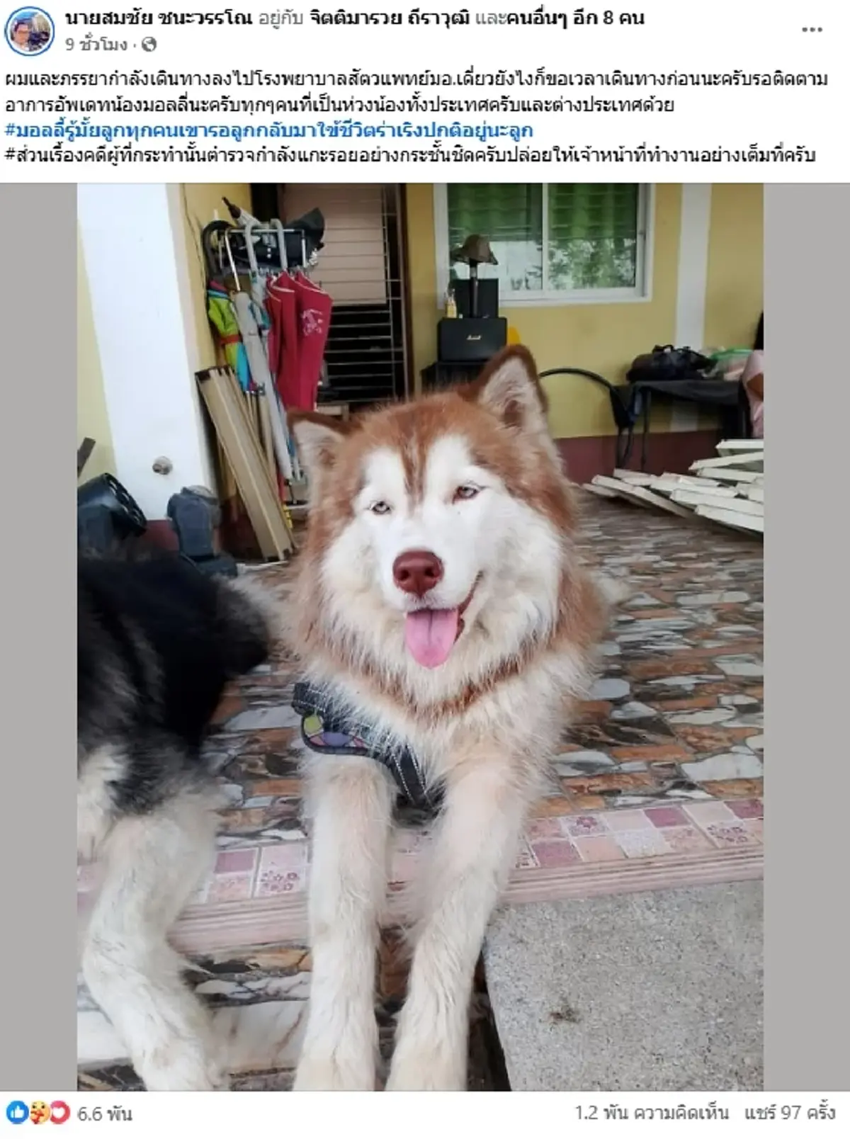 รู้ตัวผู้ต้องสงสัยแล้ว คนทำร้าย "มอลลี่" อาการล่าสุดยังน่าห่วง