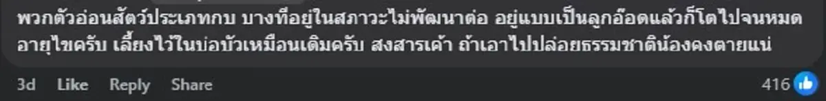 สาวเจอ สัตว์แปลก ในบ่อ ที่แท้ มันคือสัตว์ที่น่าสงสารเหลือเกิน 