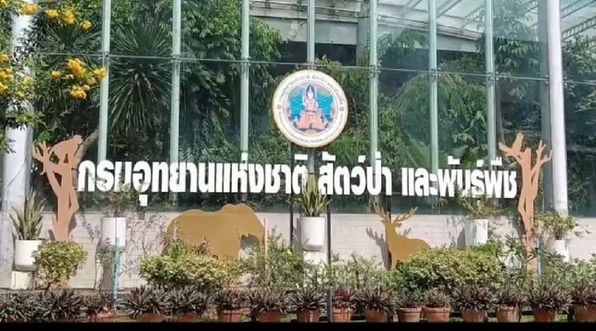 เหตุผลต้องขนย้าย "สีดอหูพับ" ออกจากจ.ขอนแก่นโดยเร็วที่สุด