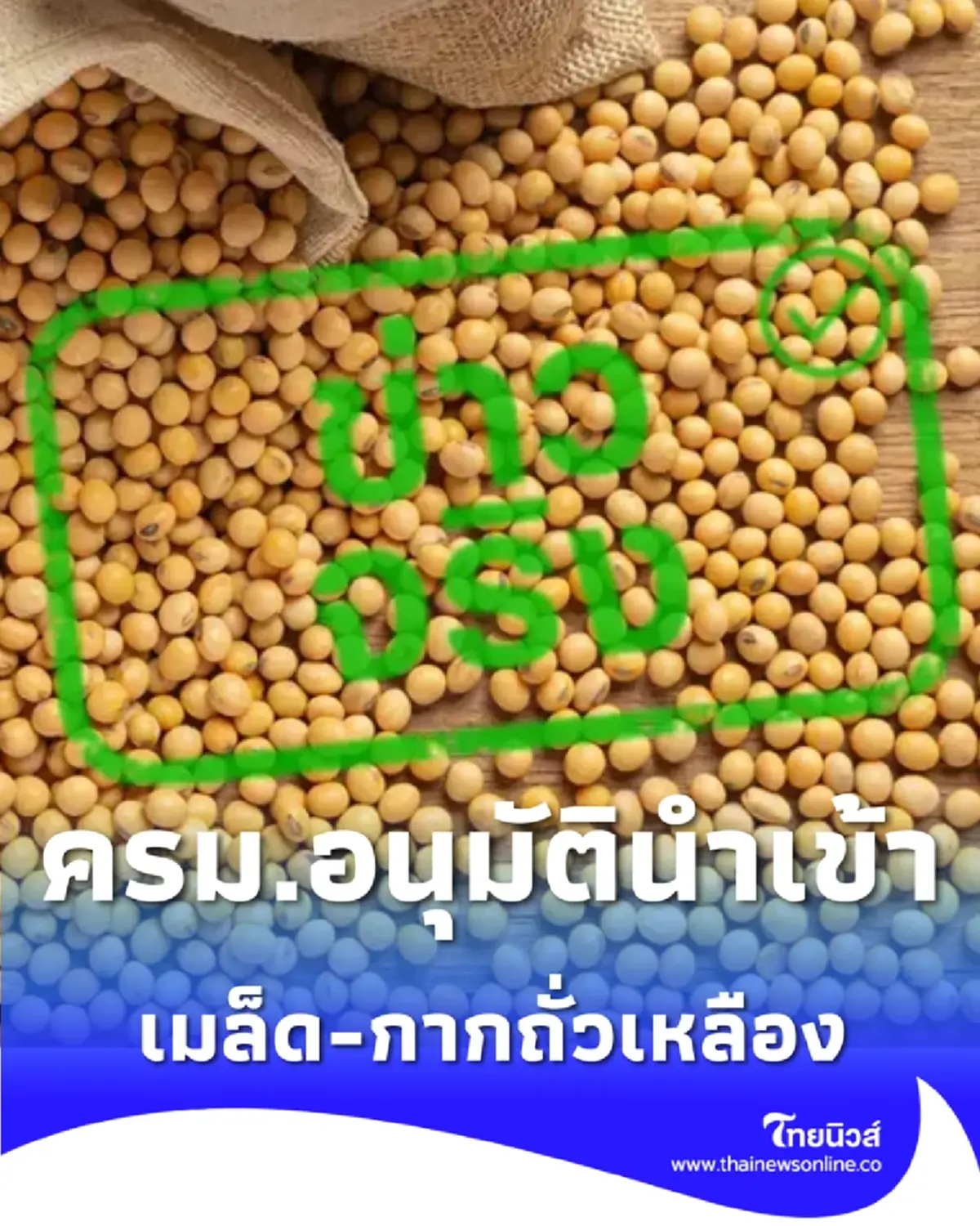 ครม. ไฟเขียวนำเข้า กากถั่วเหลือง หนุนอุตสาหกรรมอาหารไทย