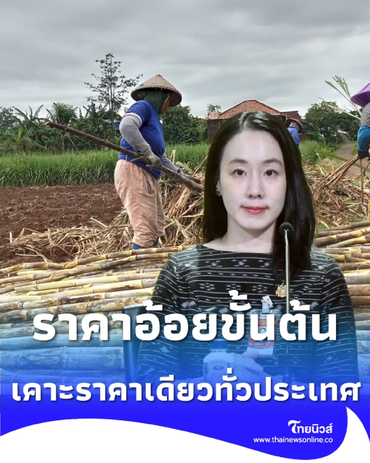 ครม. เคาะแล้ว ราคาอ้อยขั้นต้น ปี 68/69 ราคาเดียวเท่ากันทั่วประเทศ