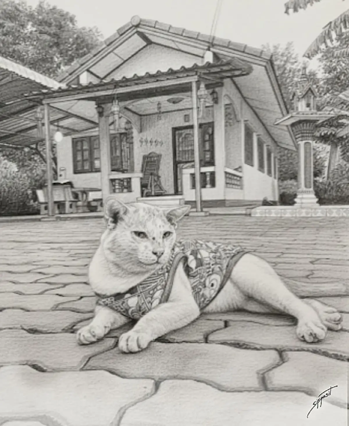 สุดเศร้า "แมวลุงจอน" จากเพจไอ้หนูของยาย กลับดาวแมวแล้ว