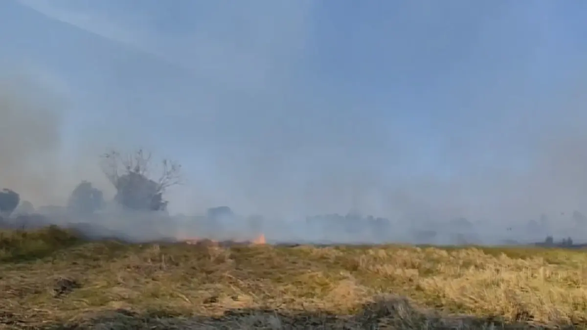 โคราชฝุ่น PM 2.5 พุ่งเกินมาตรฐาน ผู้ว่าฯสั่งคุมเข้มลักลอบเผา