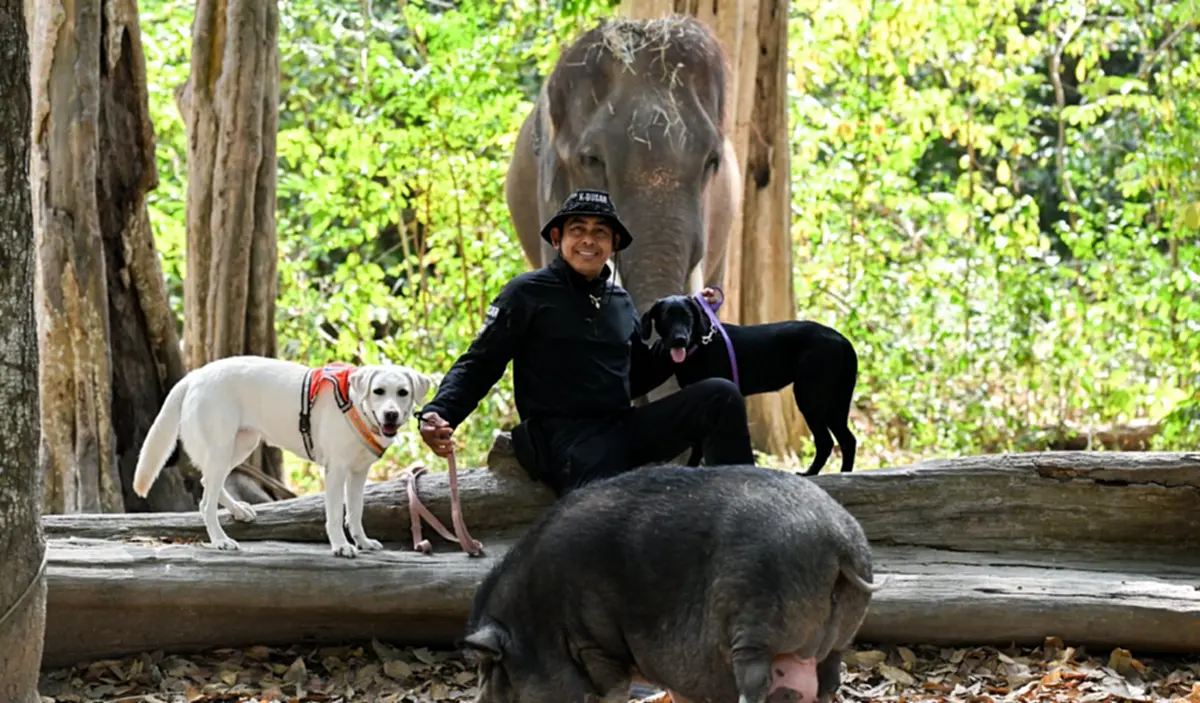 ดร.อลงกต จี้ปฏิรูปโครงสร้างรัฐ แก้วิกฤตคน–ช้างป่าทั้งระบบ