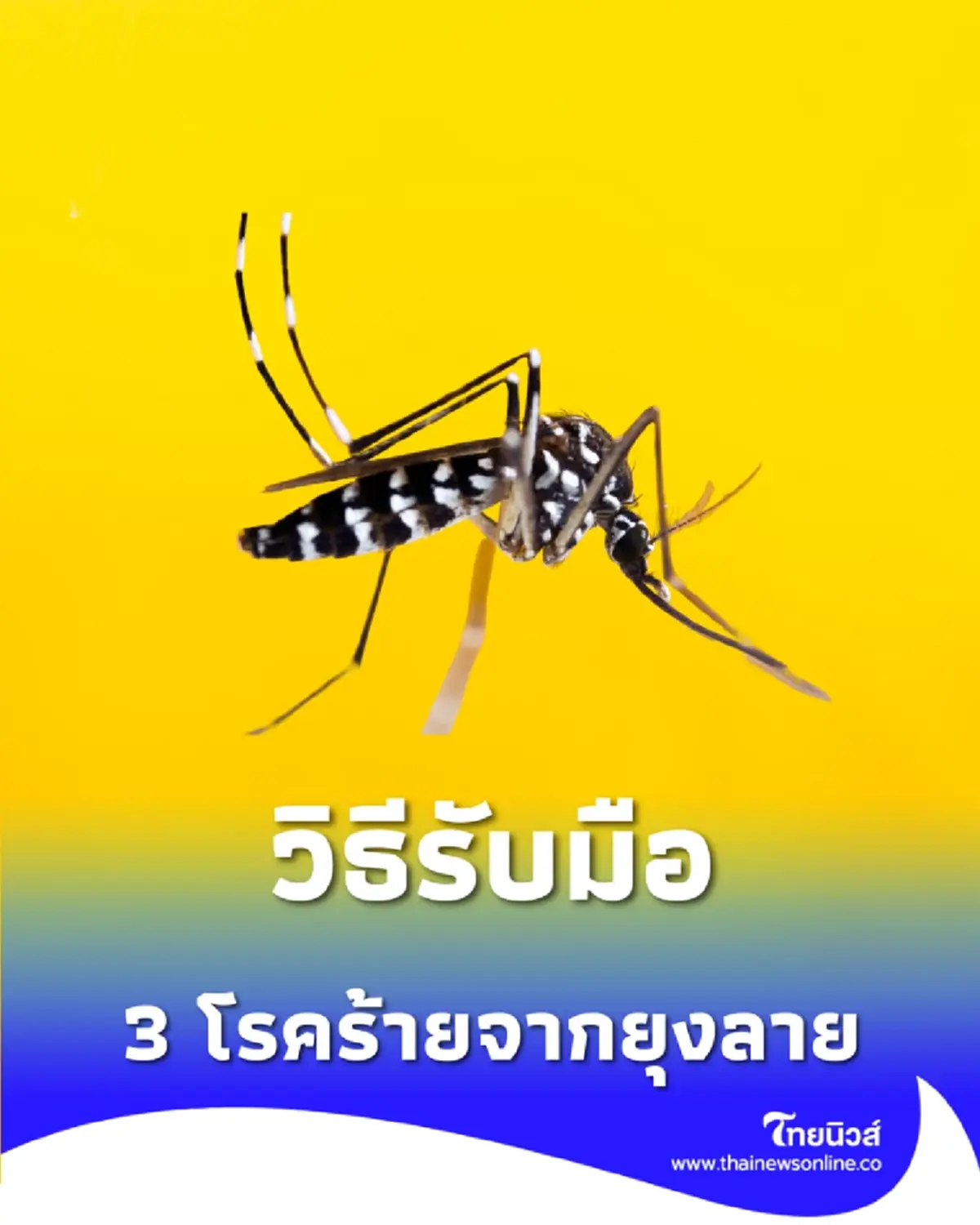 วิธีรับมือ 3 โรคร้ายจากยุงลาย พร้อมเตือนเรื่องยาลดไข้ ที่หลายคนยังเข้าใจผิด