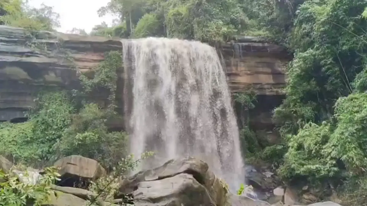 ทับลานเร่งแก้ปัญหาช้างป่าบุก พร้อมปิดท่องเที่ยวฟื้นฟูป่า