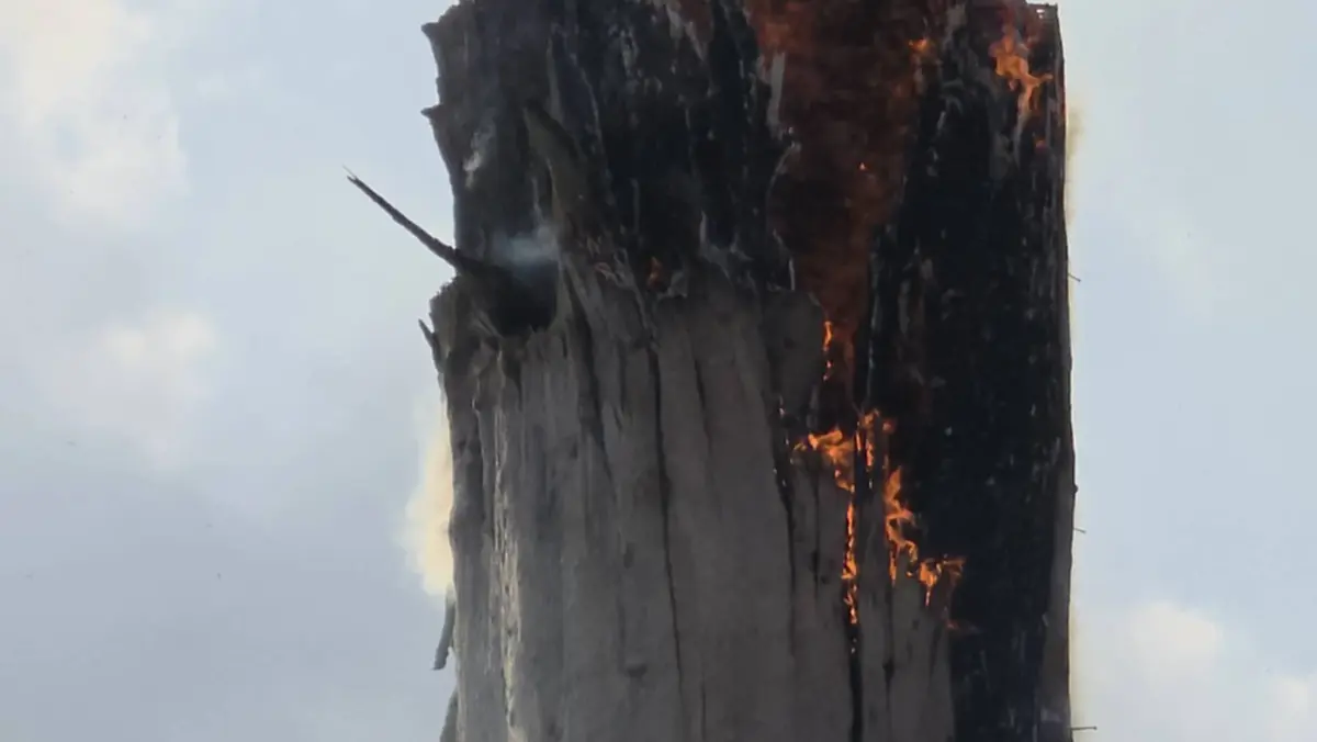 ระยองจับจริง! รวบชาวบ้านเผาป่าปลูกมันฯ หวิดลามเขตป่าสงวนแห่งชาติ