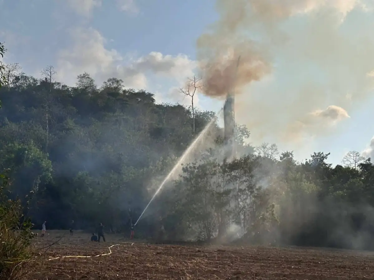 ระยองจับจริง! รวบชาวบ้านเผาป่าปลูกมันฯ หวิดลามเขตป่าสงวนแห่งชาติ