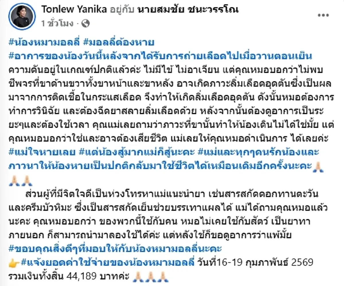 เจ้าของ ฟาดกลับเพจปั่นดราม่า "มอลลี่" อาการล่าสุดน้องสู้มาก