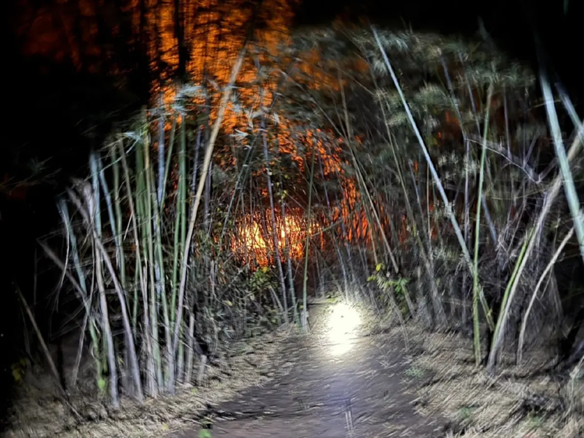 ภาพ @กรมอุทยานแห่งชาติ สัตว์ป่า และพันธุ์พืช