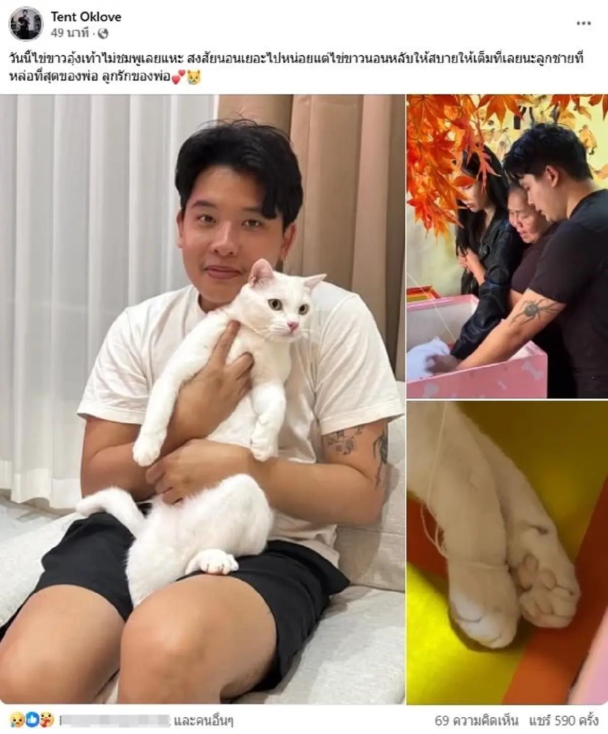 เปิดภาพสุดท้าย ส่ง ไข่ขาวลูกแมร๊ กลับดาวแมว หลับให้สบายนะลูก