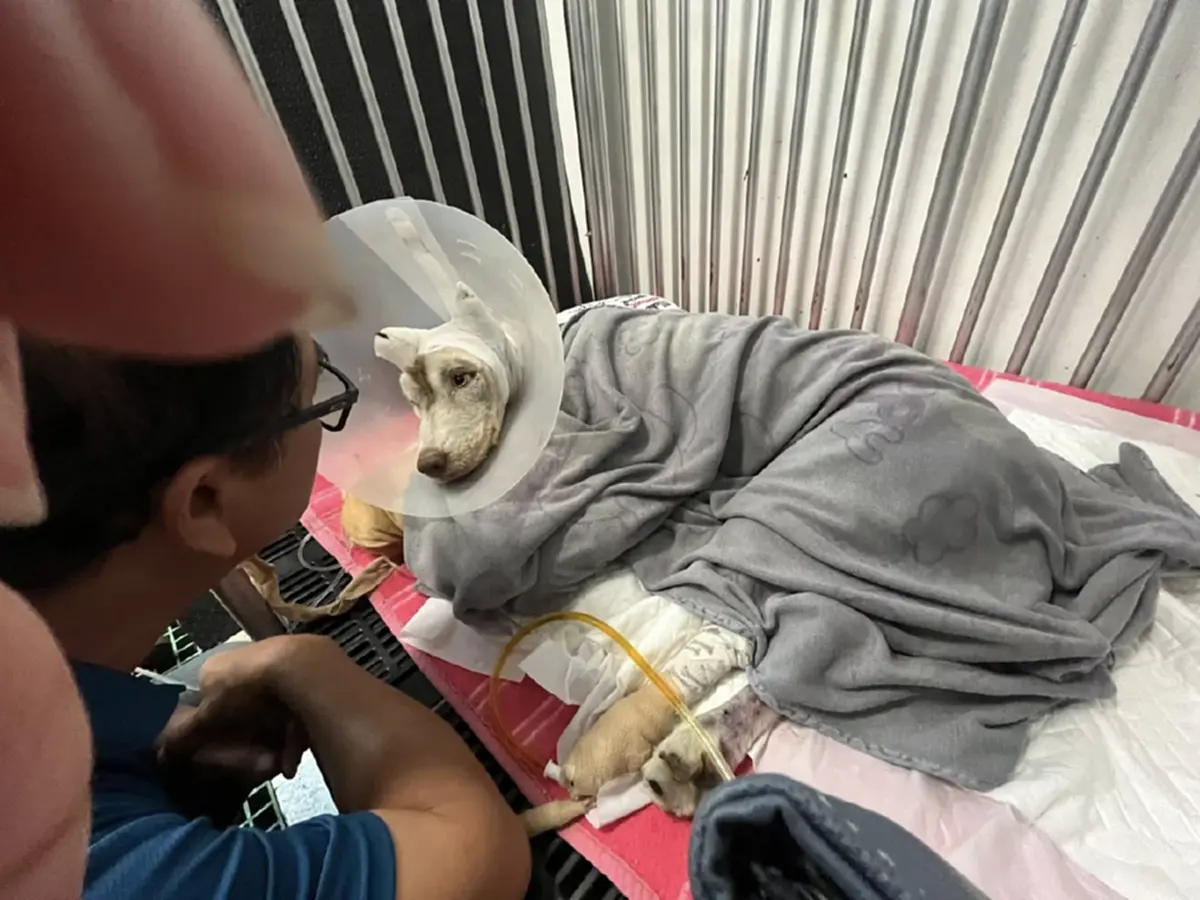 รวบตัวผู้ต้องสงสัยคดี น้องมอลลี่ ตำรวจคุมตัวเค้นสอบเข้ม