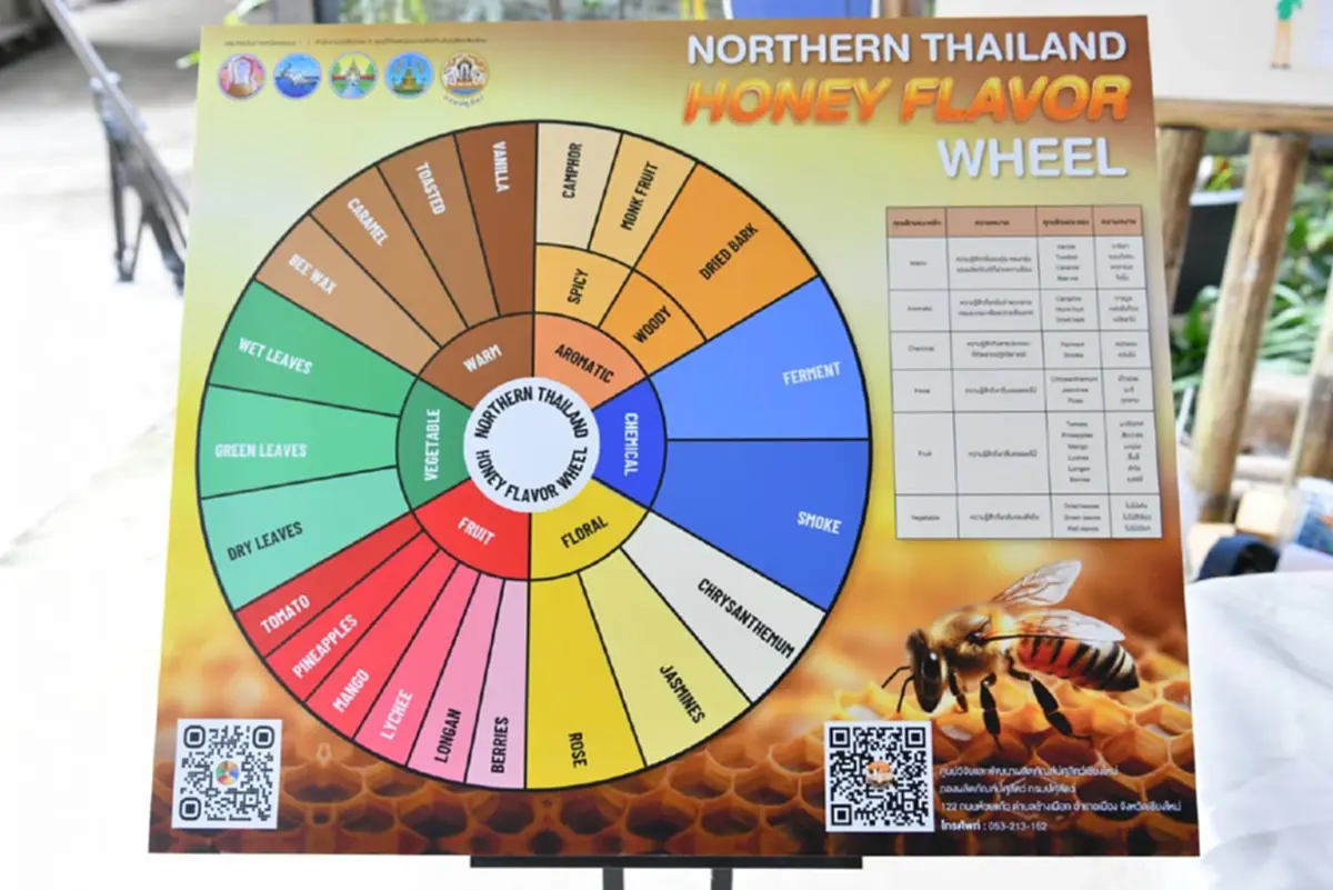 เจาะตลาดสากล! กรมทรัพย์สินทางปัญญา ปักหมุดเชียงใหม่ แหล่ง GI ขึ้นชื่อ ดันสร้างมูลค่าเพิ่ม