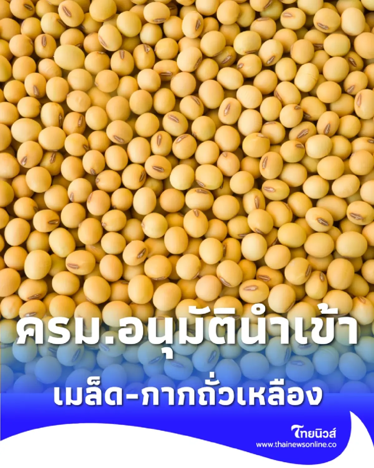 ครม. ไฟเขียวนำเข้า กากถั่วเหลือง หนุนอุตสาหกรรมอาหารไทย