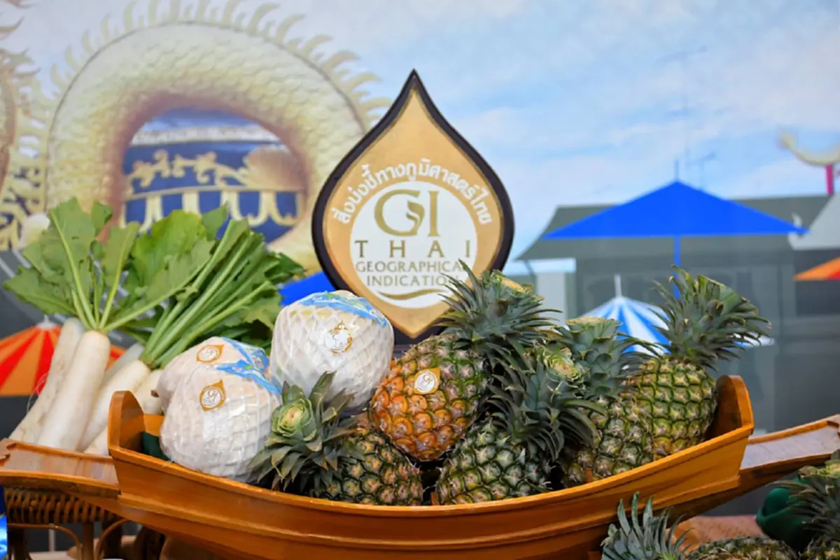 กรมทรัพย์สินทางปัญญา ปักหมุด"ราชบุรี"ดัน GI ไทยครองใจตลาดโลก