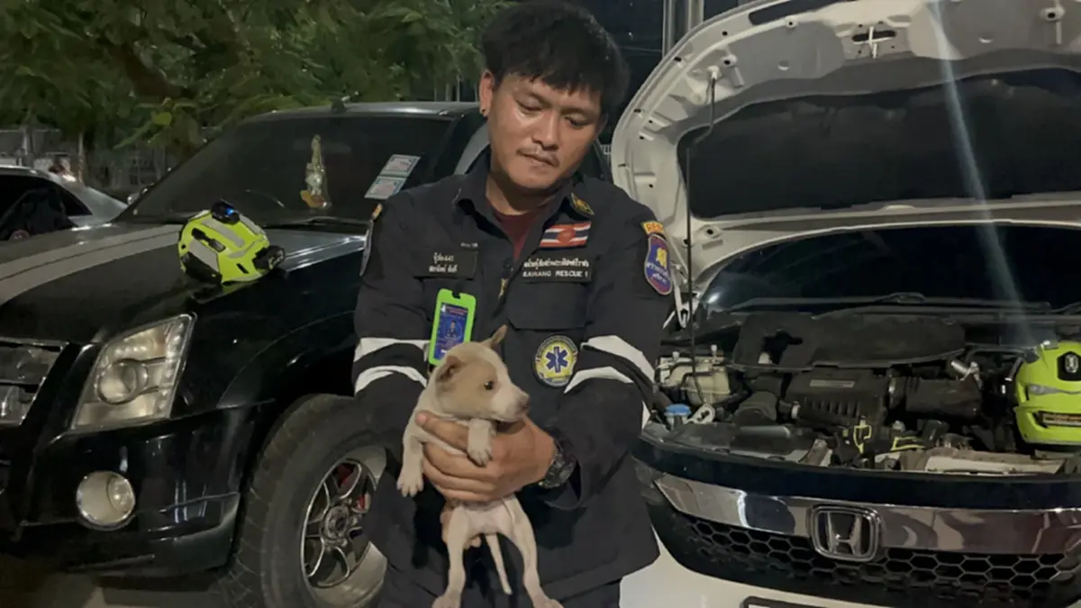 กู้ภัยศรีราชาช่วยลูกหมาติดห้องเครื่องรถกลางลานจอดสวนสุขภาพ