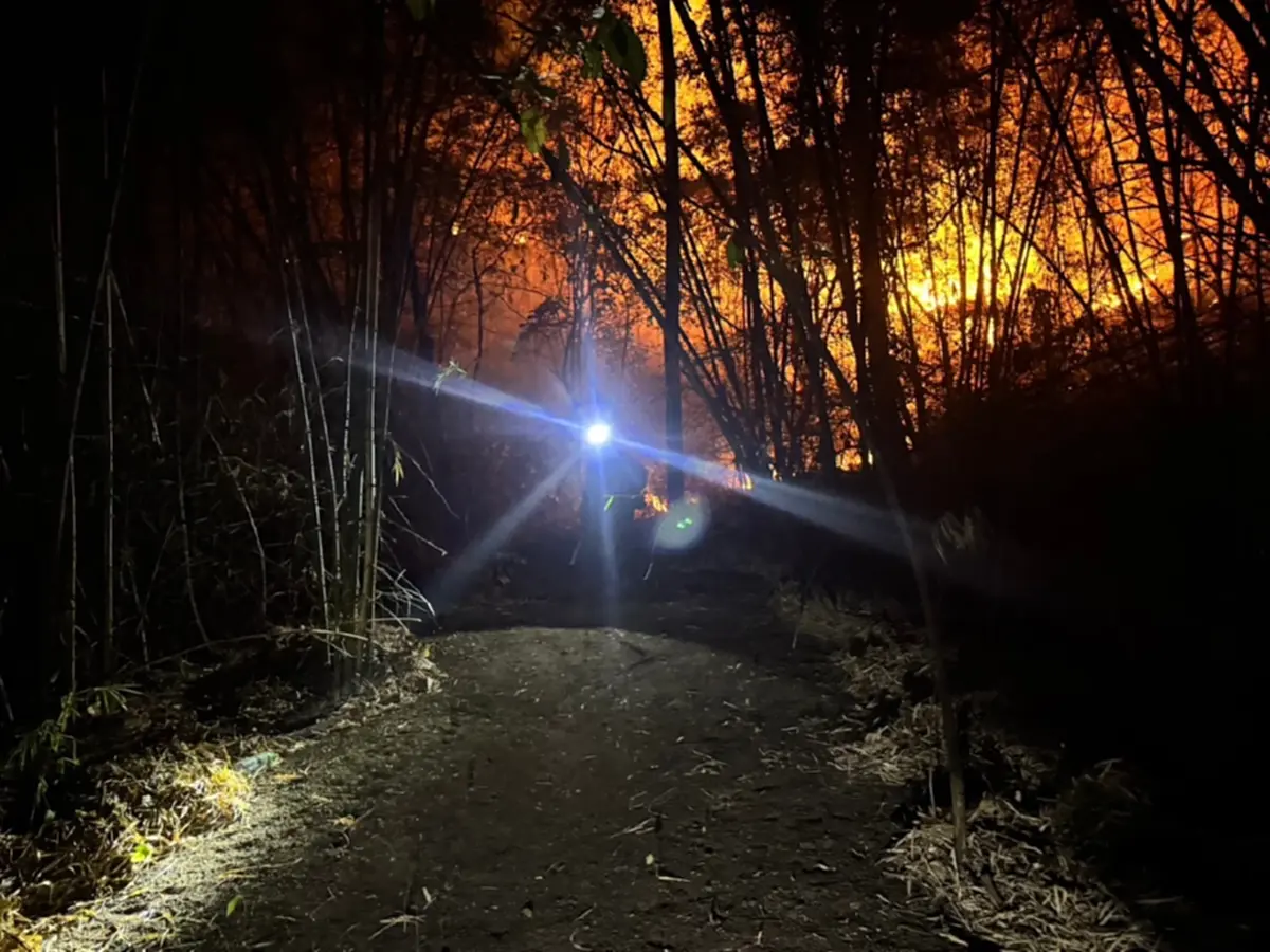 ภาพ @กรมอุทยานแห่งชาติ สัตว์ป่า และพันธุ์พืช