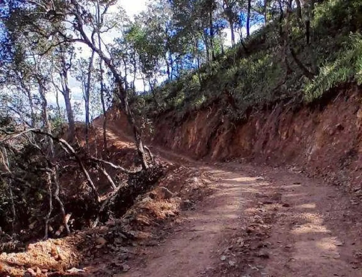 แฉเจ้าหน้าที่แอบอ้างงบรัฐ ตัดถนนป่า 6.6 กม. เร่งปิดถนนคืนป่า