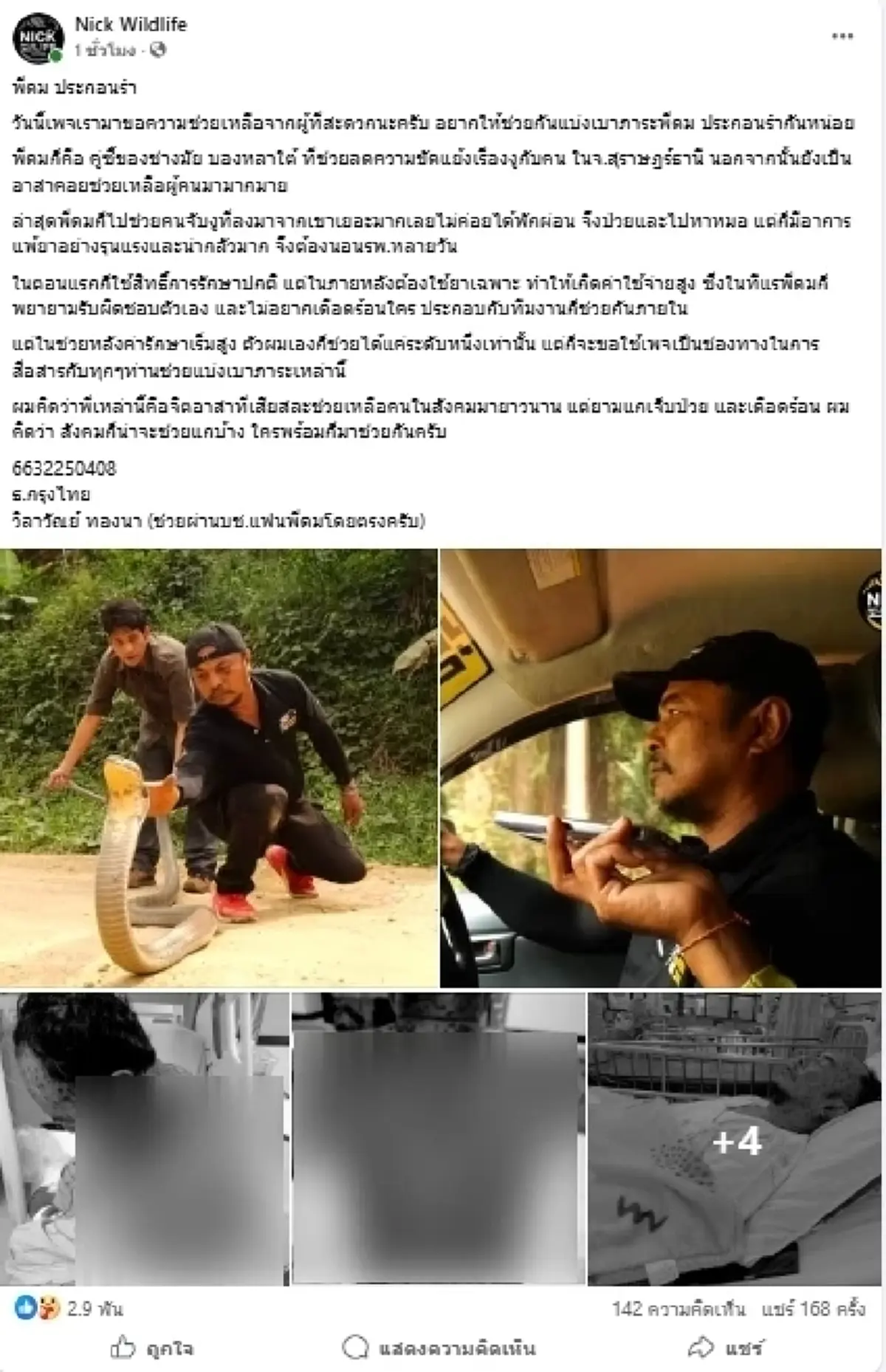"นิค อสรพิษวิทยา" วอนน้ำใจช่วย "พี่ดม" จิตอาสาจับงูป่วยหนัก