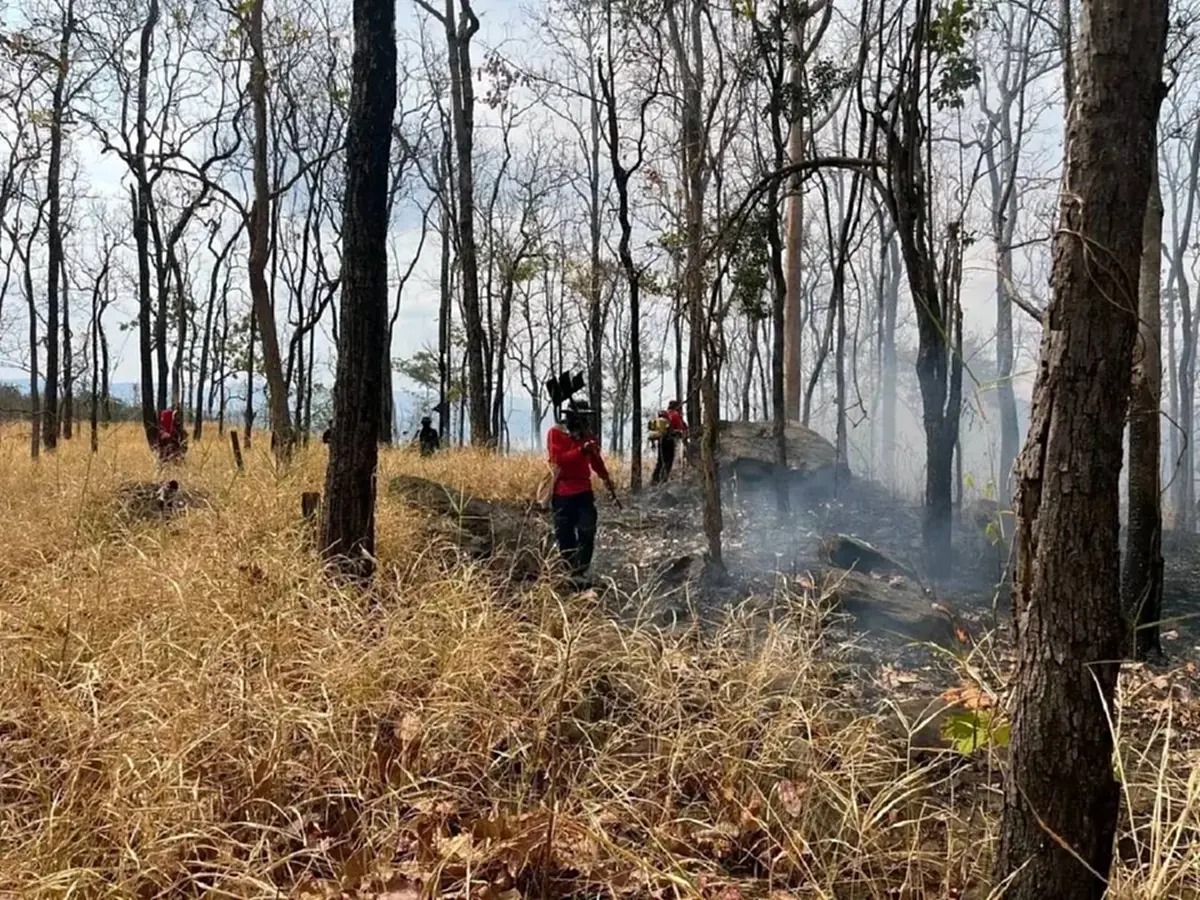 ชัยภูมิเร่งคุมไฟป่า หลังพบจำนวนฮอตสปอตพุ่งเกือบ 1,000 จุด