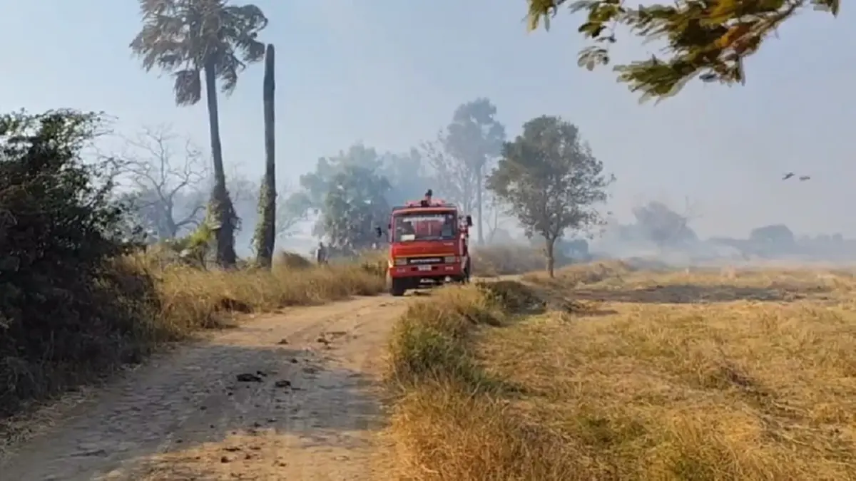 โคราชฝุ่น PM 2.5 พุ่งเกินมาตรฐาน ผู้ว่าฯสั่งคุมเข้มลักลอบเผา