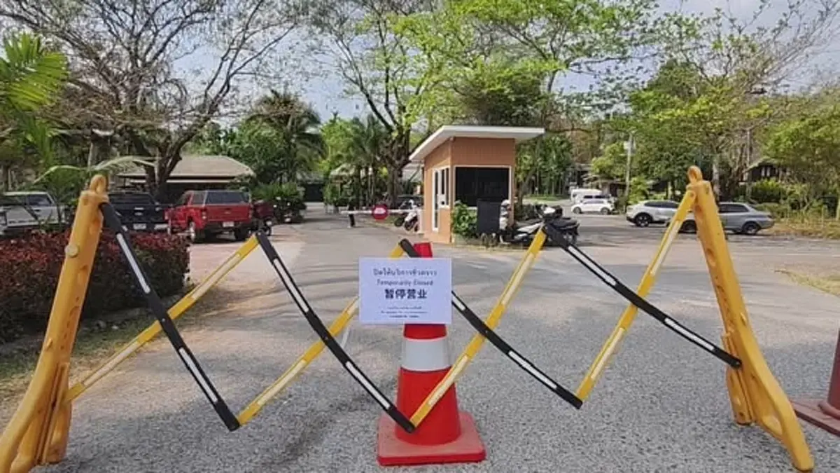 รู้แล้วสาเหตุ เสือโคร่ง 72 ตัว ดับปริศนาในคุ้มเสือ จ.เชียงใหม่