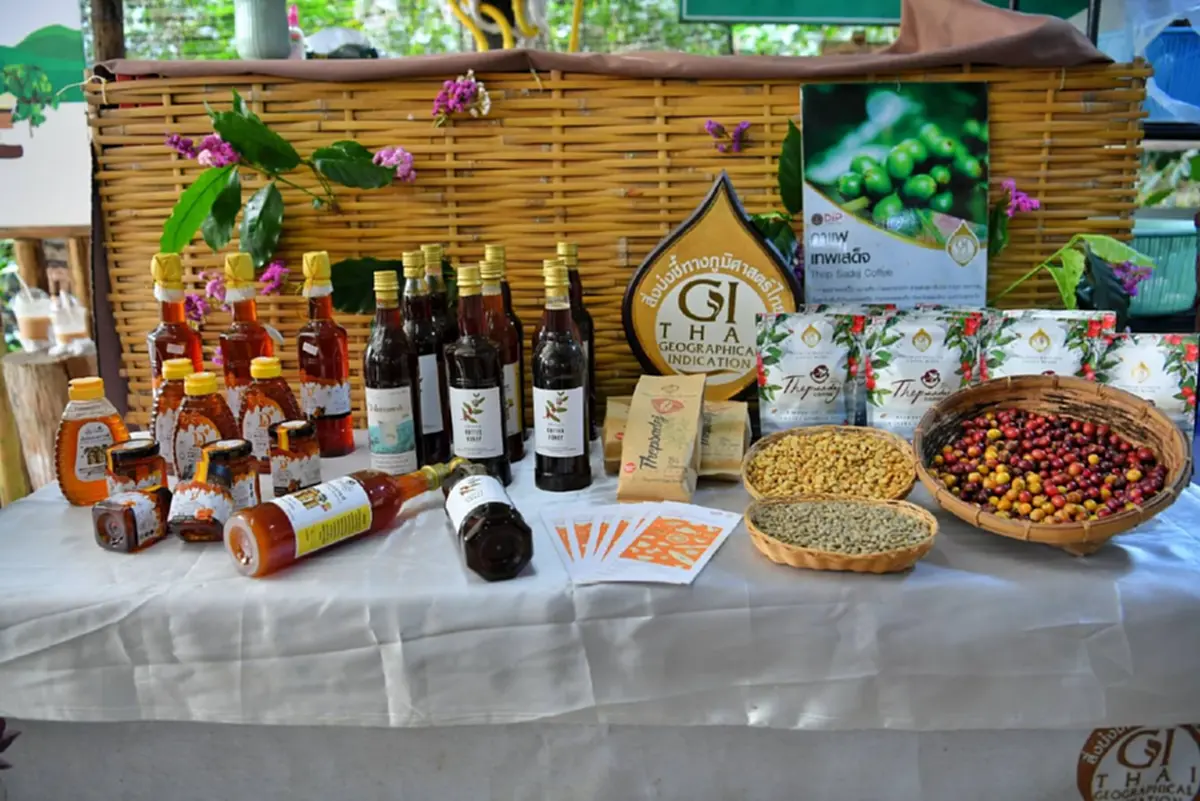 เจาะตลาดสากล! กรมทรัพย์สินทางปัญญา ปักหมุดเชียงใหม่ แหล่ง GI ขึ้นชื่อ ดันสร้างมูลค่าเพิ่ม