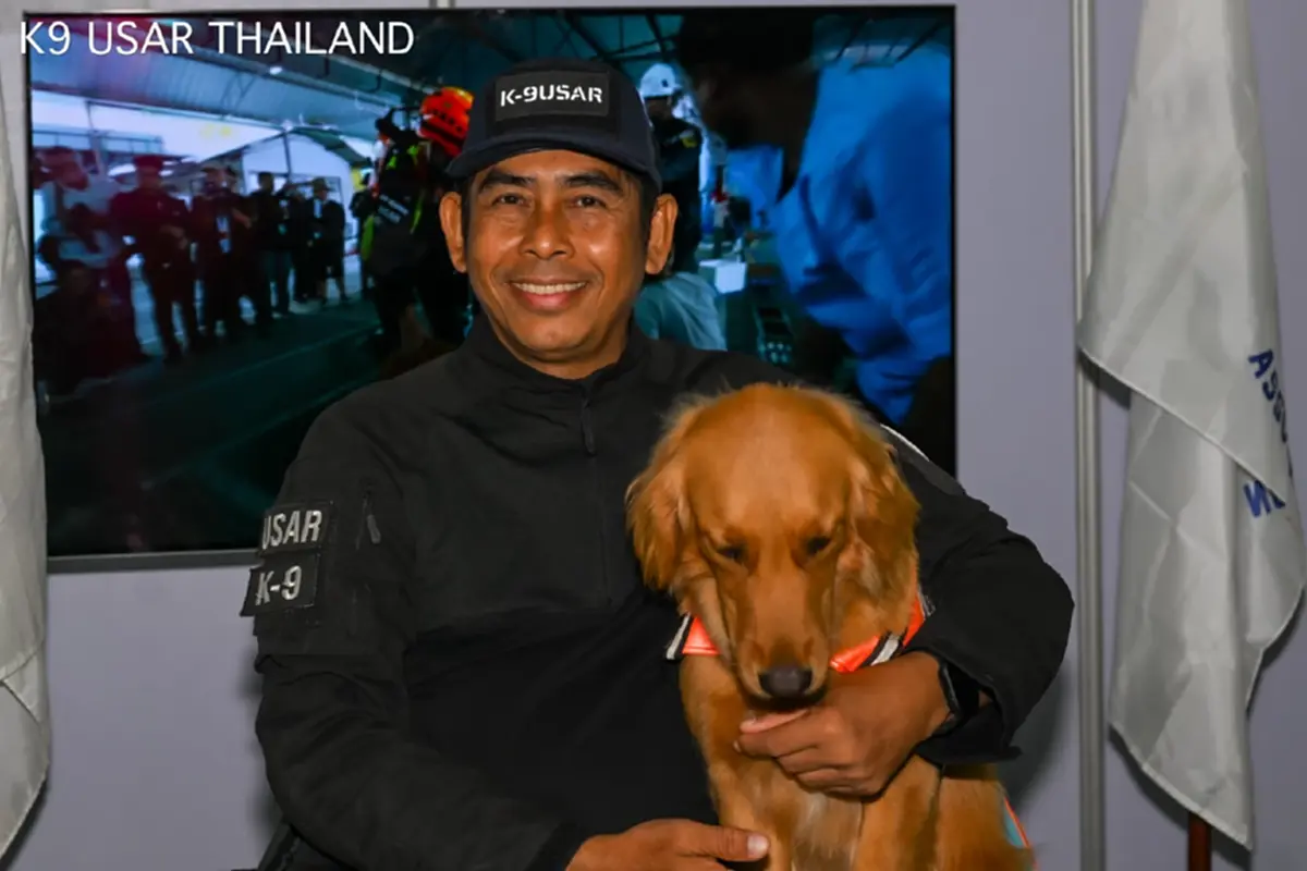 ดร.อลงกต จี้ปฏิรูปโครงสร้างรัฐ แก้วิกฤตคน–ช้างป่าทั้งระบบ