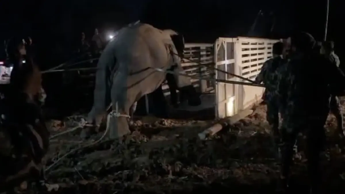 ดร.อลงกต จี้ปฏิรูปโครงสร้างรัฐ แก้วิกฤตคน–ช้างป่าทั้งระบบ