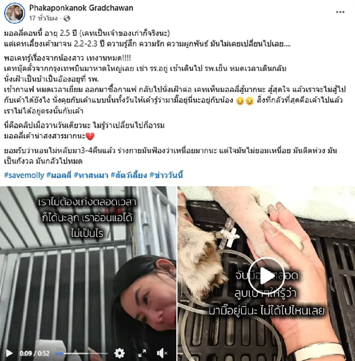เจ้าของเก่า "มอลลี่" หัวใจสลาย เศร้าข่าวร้าย สุดห่วงคู่หูตรอมใจ