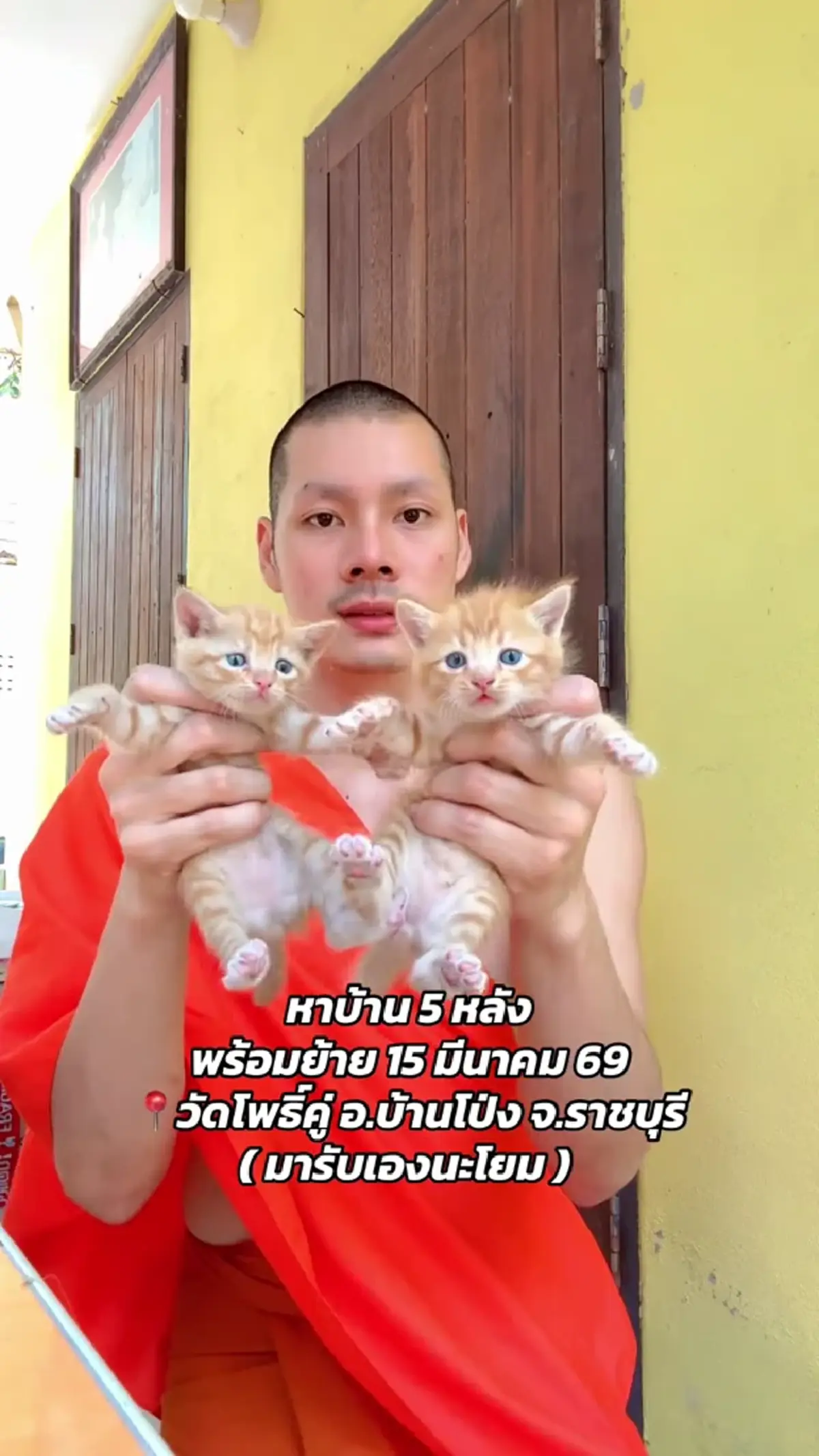 หลวงพี่สุดละมุน ลงคลิปหาบ้านให้แมว แต่ละคอมเมนต์พร้อมลงอเวจี