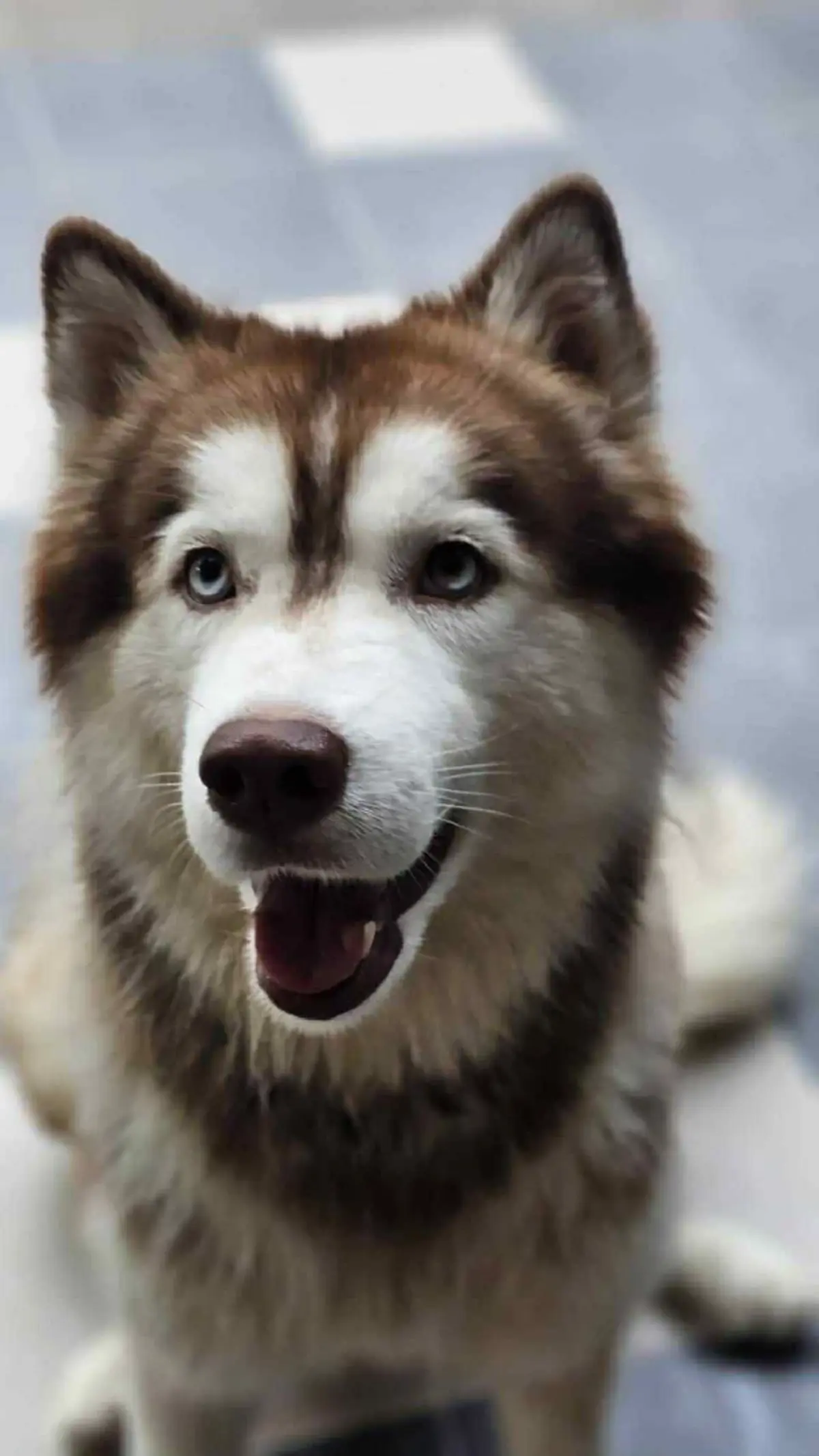 อ่วม เปิดข้อหา มือก่อเหตุทำร้าย น้องมอลลี่ ยอมสารภาพสิ้น