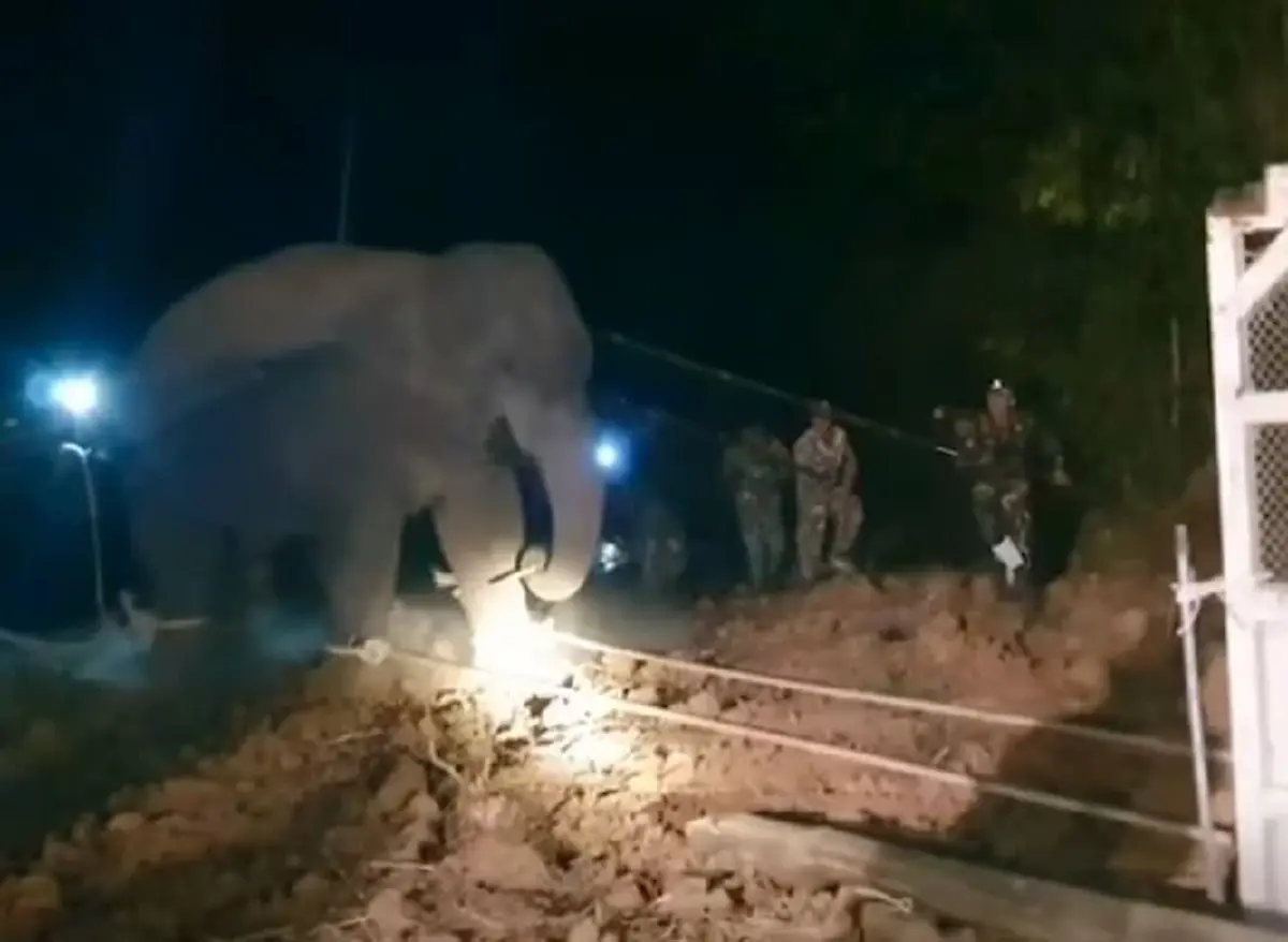 อธิบดีกรมอุทยาน แจงแล้ว ทุกปมดราม่าเคลื่อนย้าย สีดอหูพับ