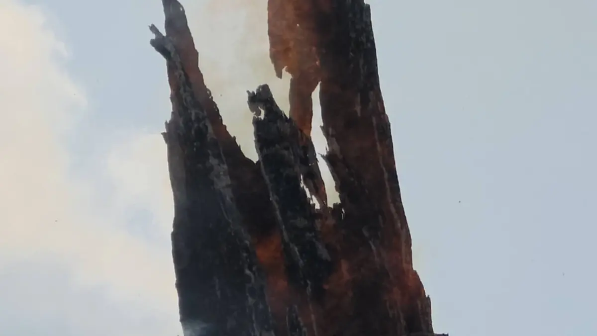 ระยองจับจริง! รวบชาวบ้านเผาป่าปลูกมันฯ หวิดลามเขตป่าสงวนแห่งชาติ