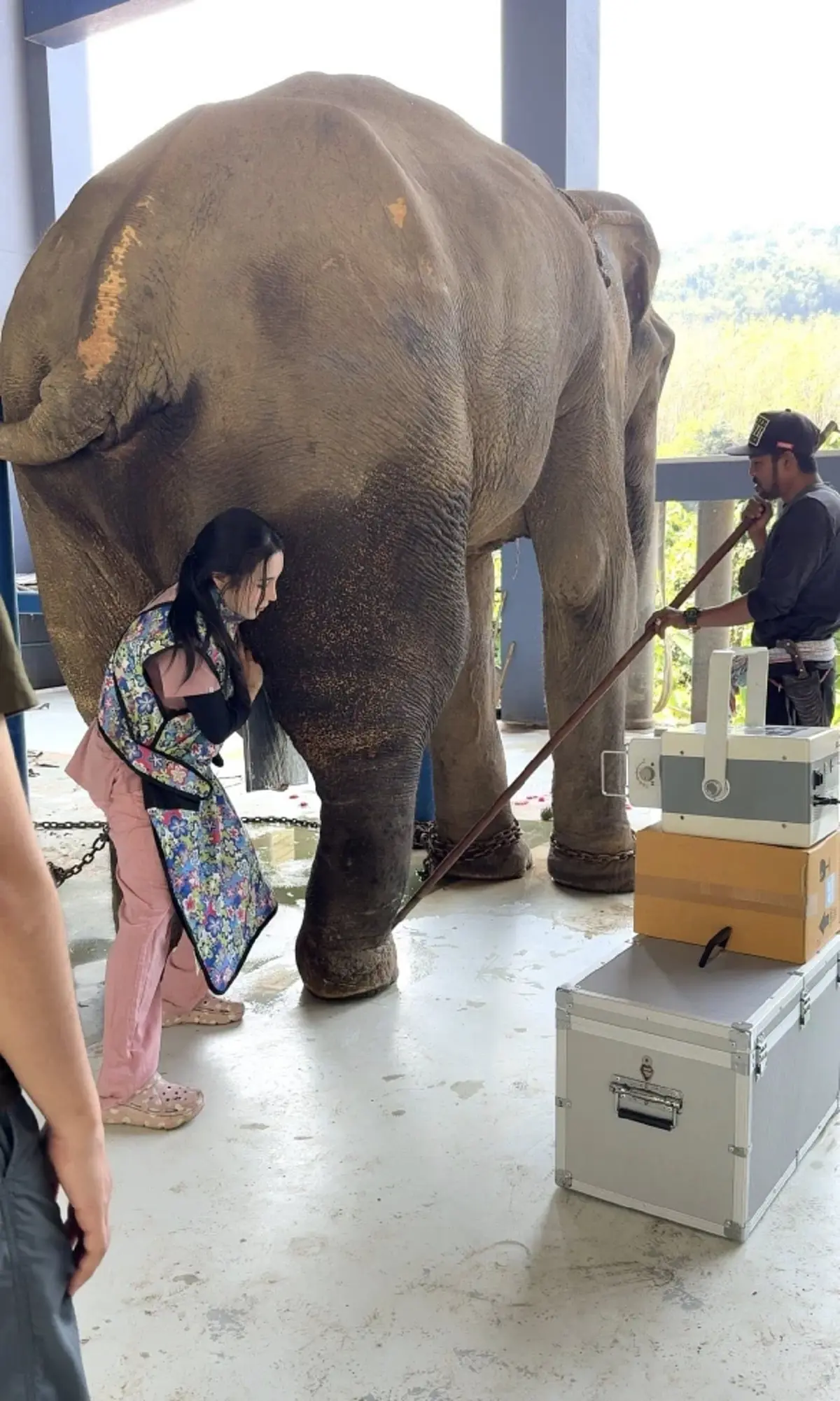 หมอโบว์ ปล่อยโฮ ผลเอ็กซเรย์ พลายเดี่ยว ถึงกับกลั้นน้ำตาไม่ไหว