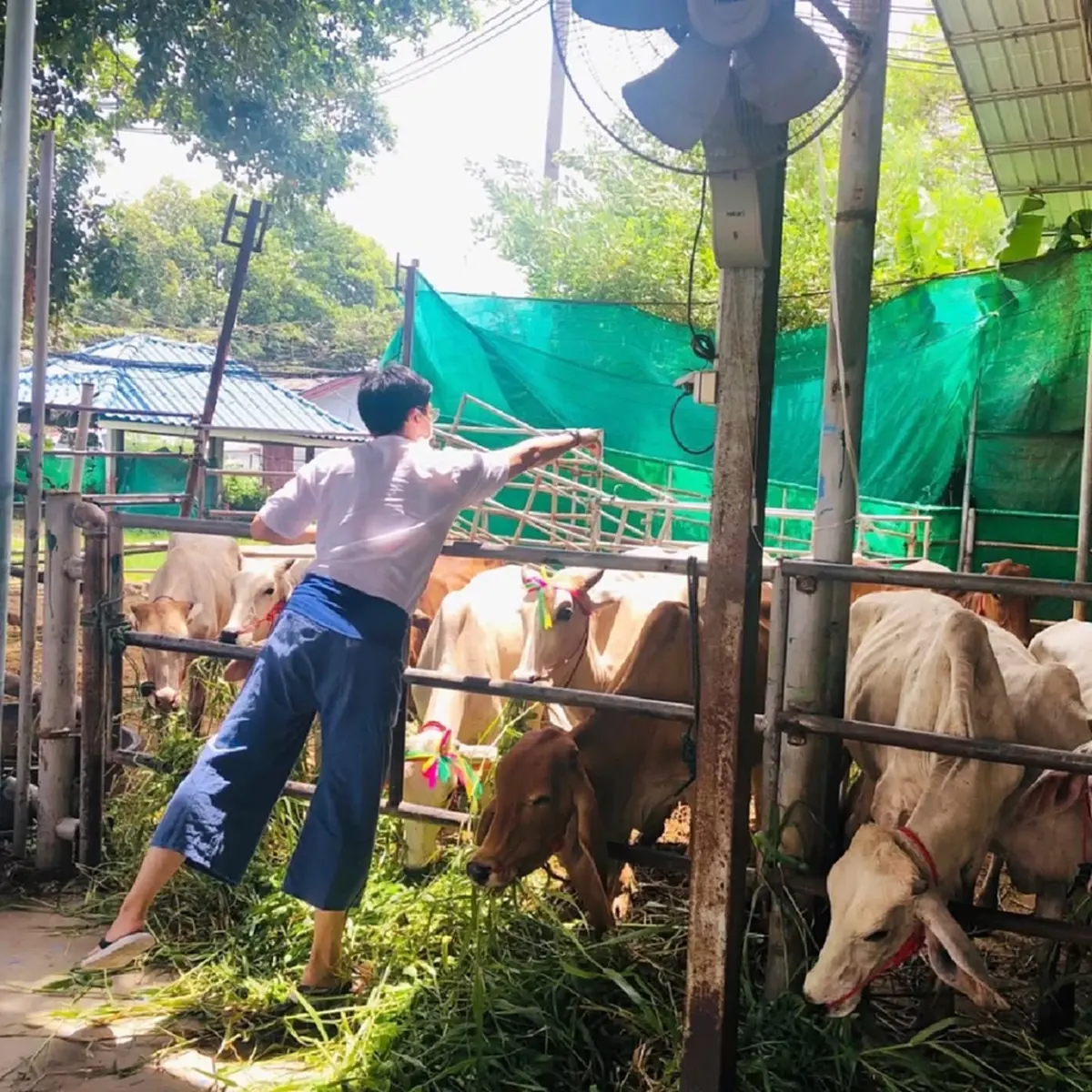 เปิดภาพล่าสุด ใช้ชีวิตเรียบง่ายในวัด แฟนคลับแห่คิดถึงคอนเสิร์ต