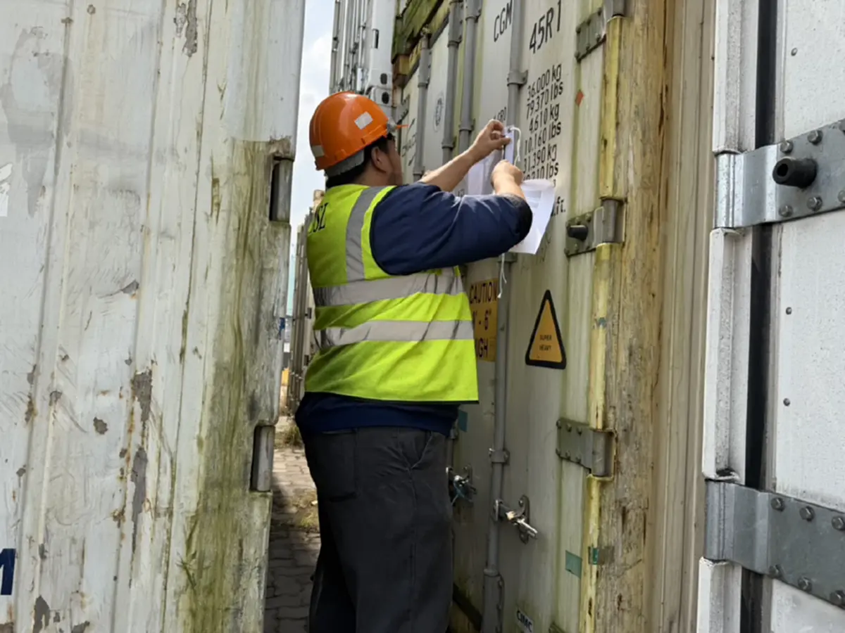 ศุลกากรบุกยึด 32 ตู้ขาไก่ต้องสงสัย น้ำหนักกว่า 8 แสนกก.