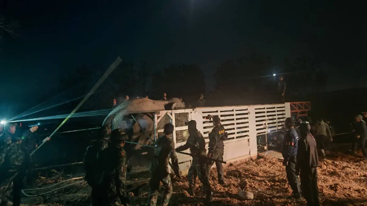 กรมอุทยานฯ แจงแล้วสาเหตุ สีดอหูพับ ล้มกะทันหันขณะเคลื่อนย้าย