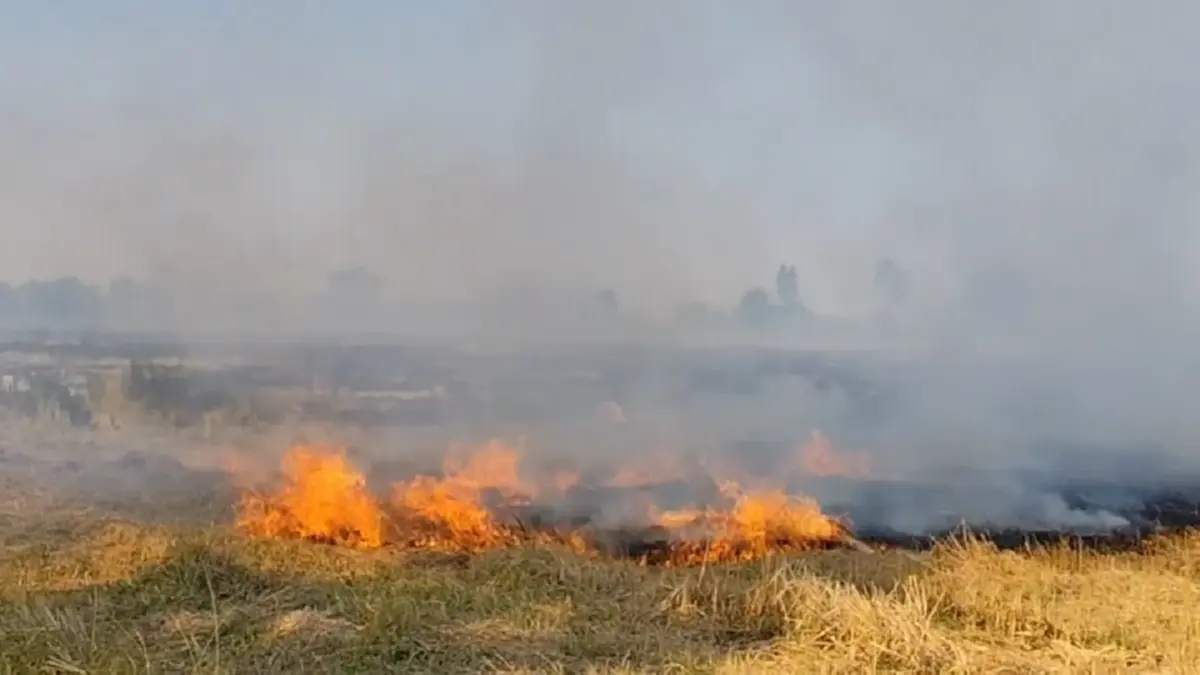 โคราชฝุ่น PM 2.5 พุ่งเกินมาตรฐาน ผู้ว่าฯสั่งคุมเข้มลักลอบเผา