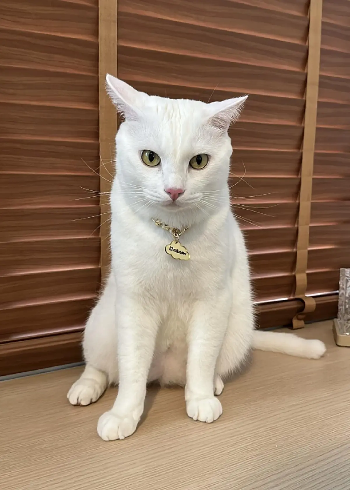 แม่ไข่ขาว เปิดใจเล่าเหตุการณ์ในวันสูญเสีย เกิดอะไรขึ้น