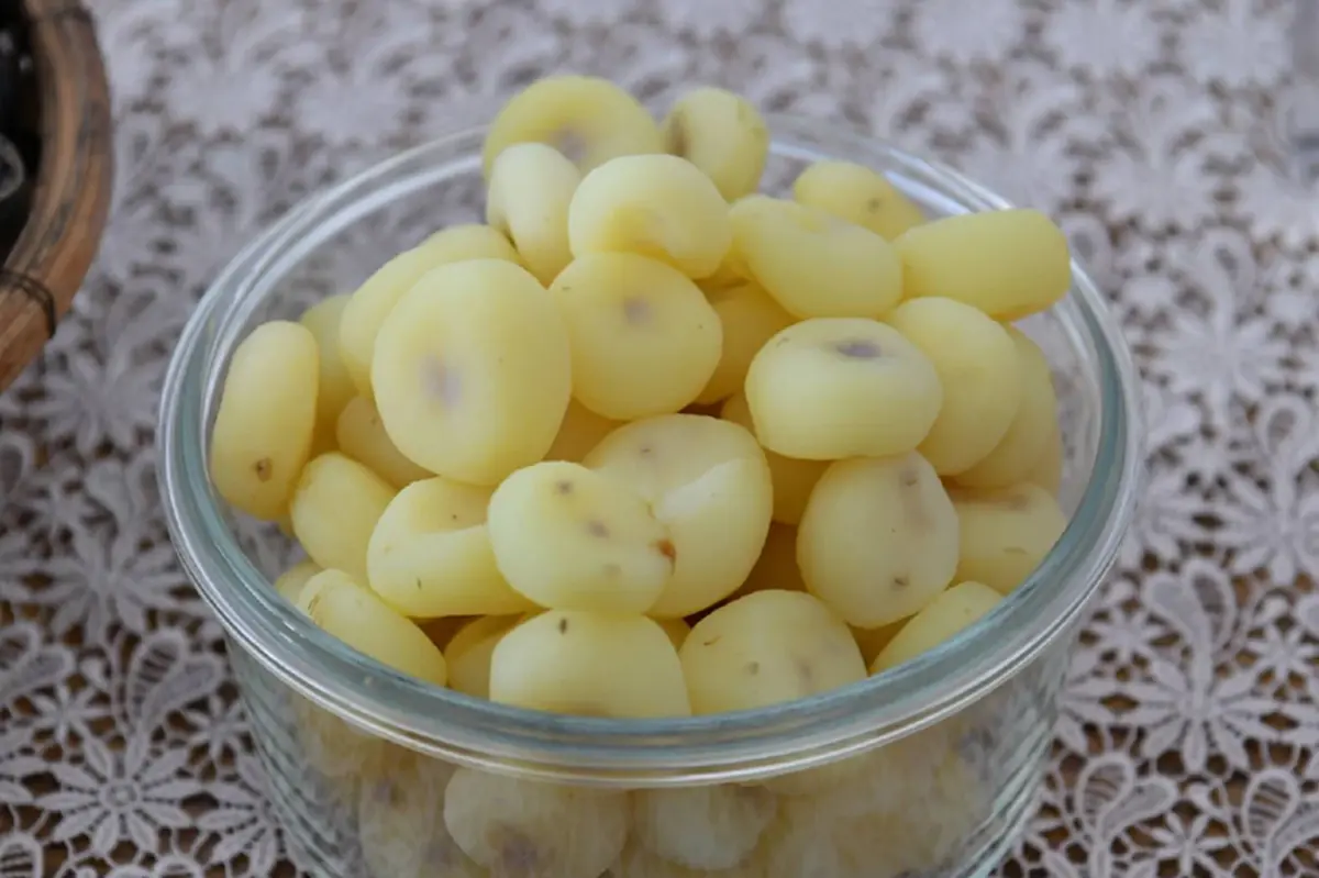 GI "แห้วสุพรรณ" กรมทรัพย์สินทางปัญญา ชูศักยภาพต่อยอดเพิ่มมูลค่า บุกตลาดอาหารสุขภาพ