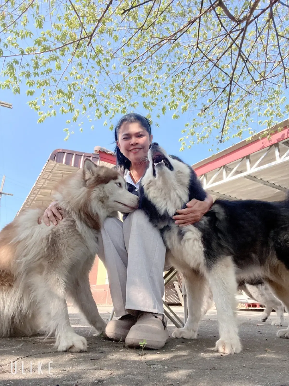 เจ้าของใหม่ แจงดราม่า "มอลลี่-เบตซี่" เผยสาเหตุหลุดออกจากบ้าน