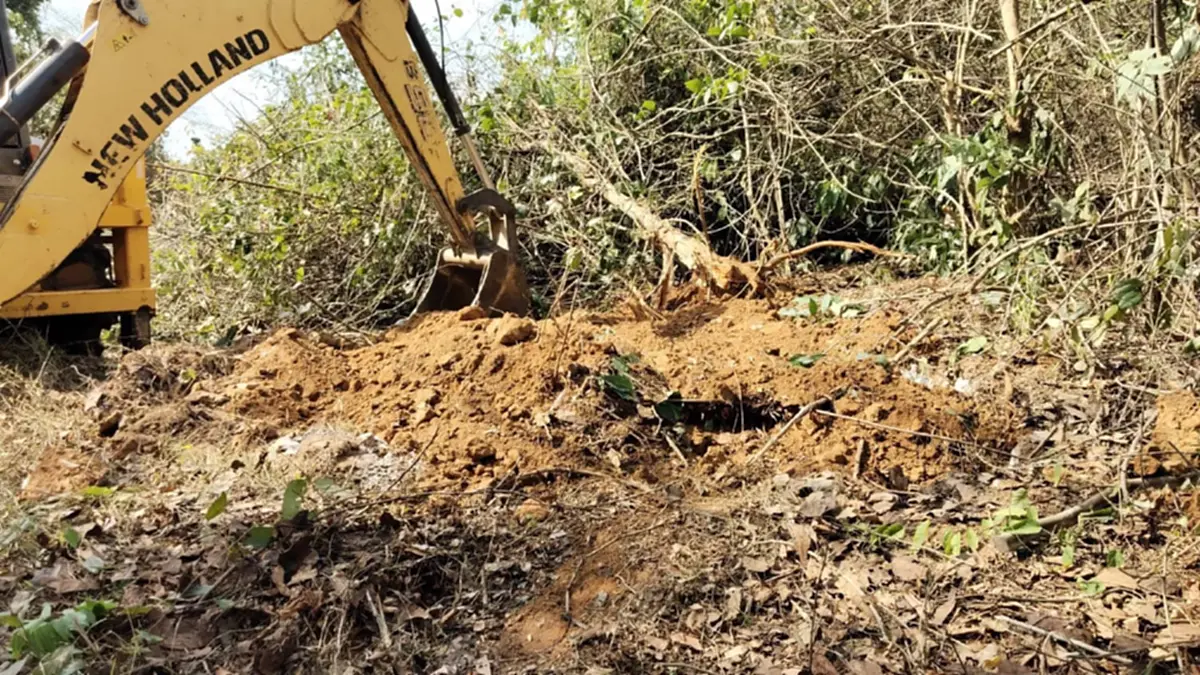 สลด! บ่วงมรณะคร่าชีวิตลูกช้างป่า วัยปีเศษกลางเขาอ่างฤาไน