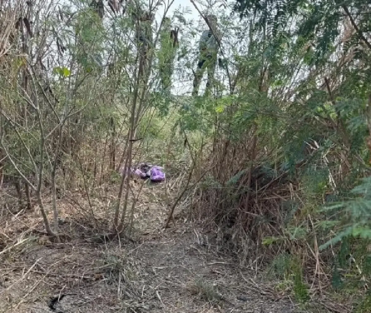 ถึงกับตกใจ เปิดผลชันสูตรหนูน้อย 5 ขวบ ถูกทิ้งในป่าสระบุรี