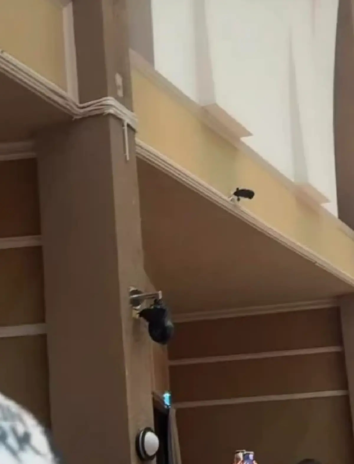 รู้แล้วสาเหตุ กกต. ปทุมฯ เขต 7 ใช้ถุงดำคลุมกล้องวงจรปิด