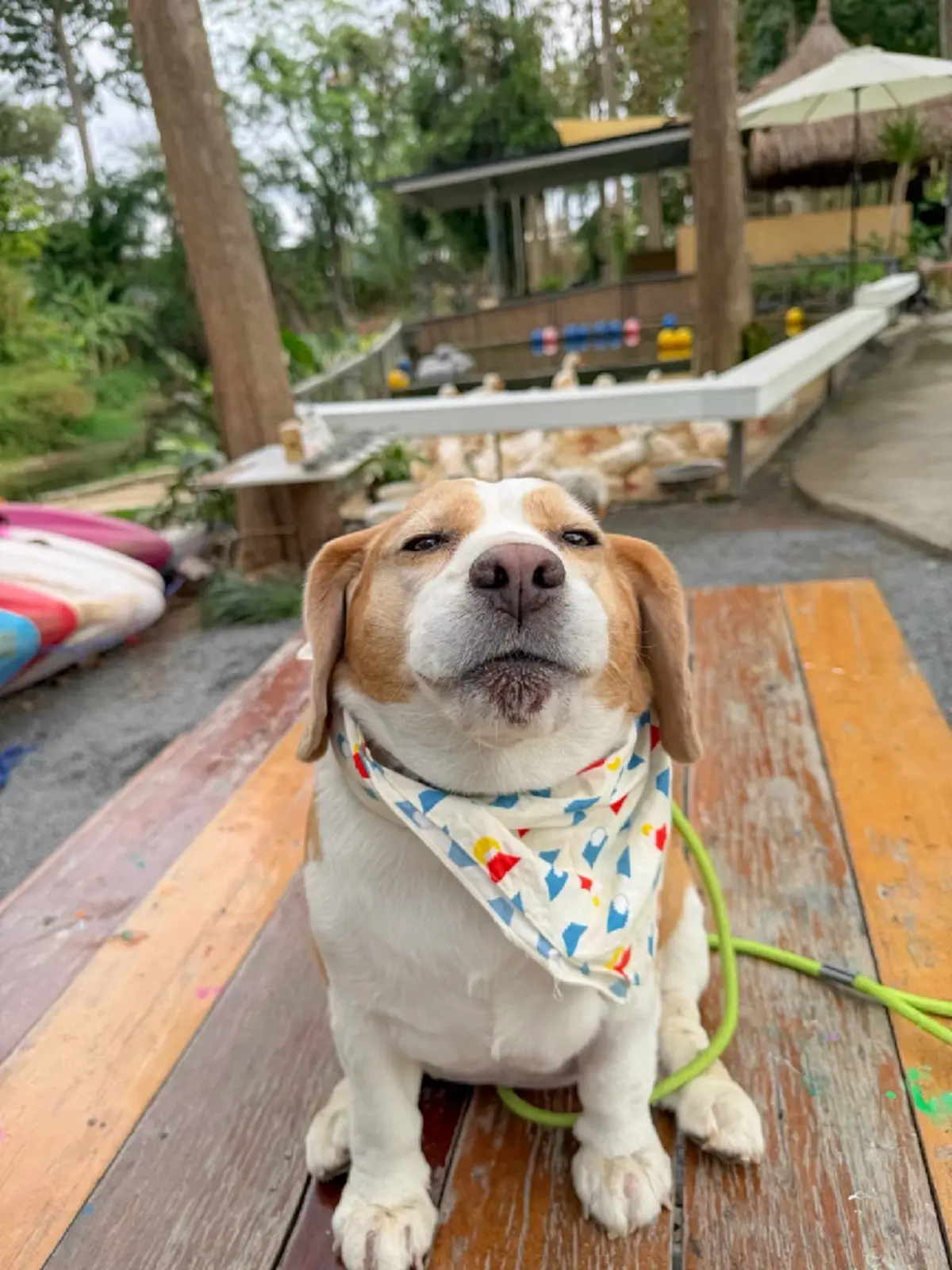 น้ำตาซึม เปิดข้อความ จากหัวใจ “มู่ทู่” หลังการจากไปของ "ไข่ขาว"