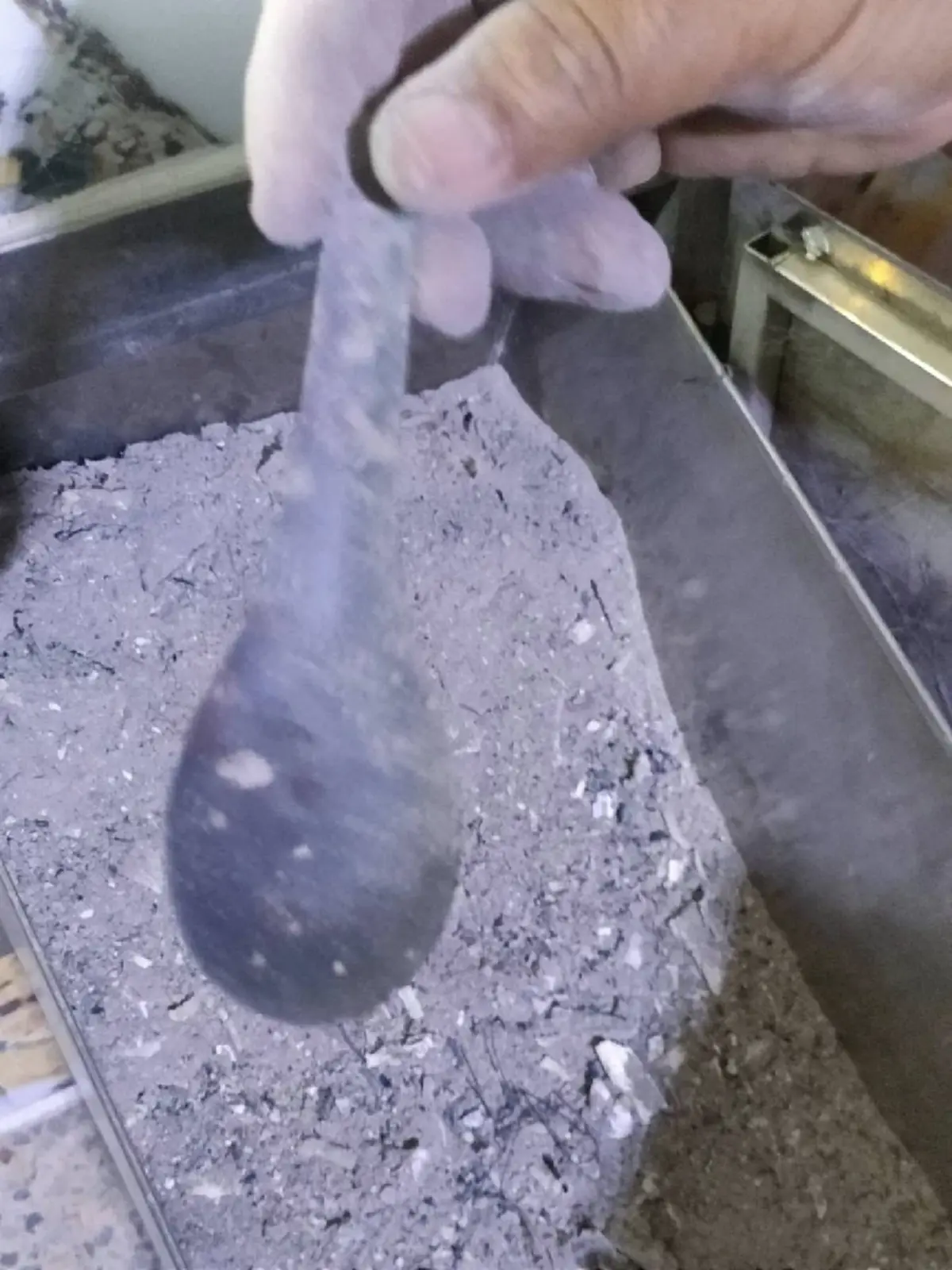 ผลชันสูตร พลทหาร เสียชีวิตหลังถูกสั่งขัง ตกใจเจอบางสิ่งปนกระดูก