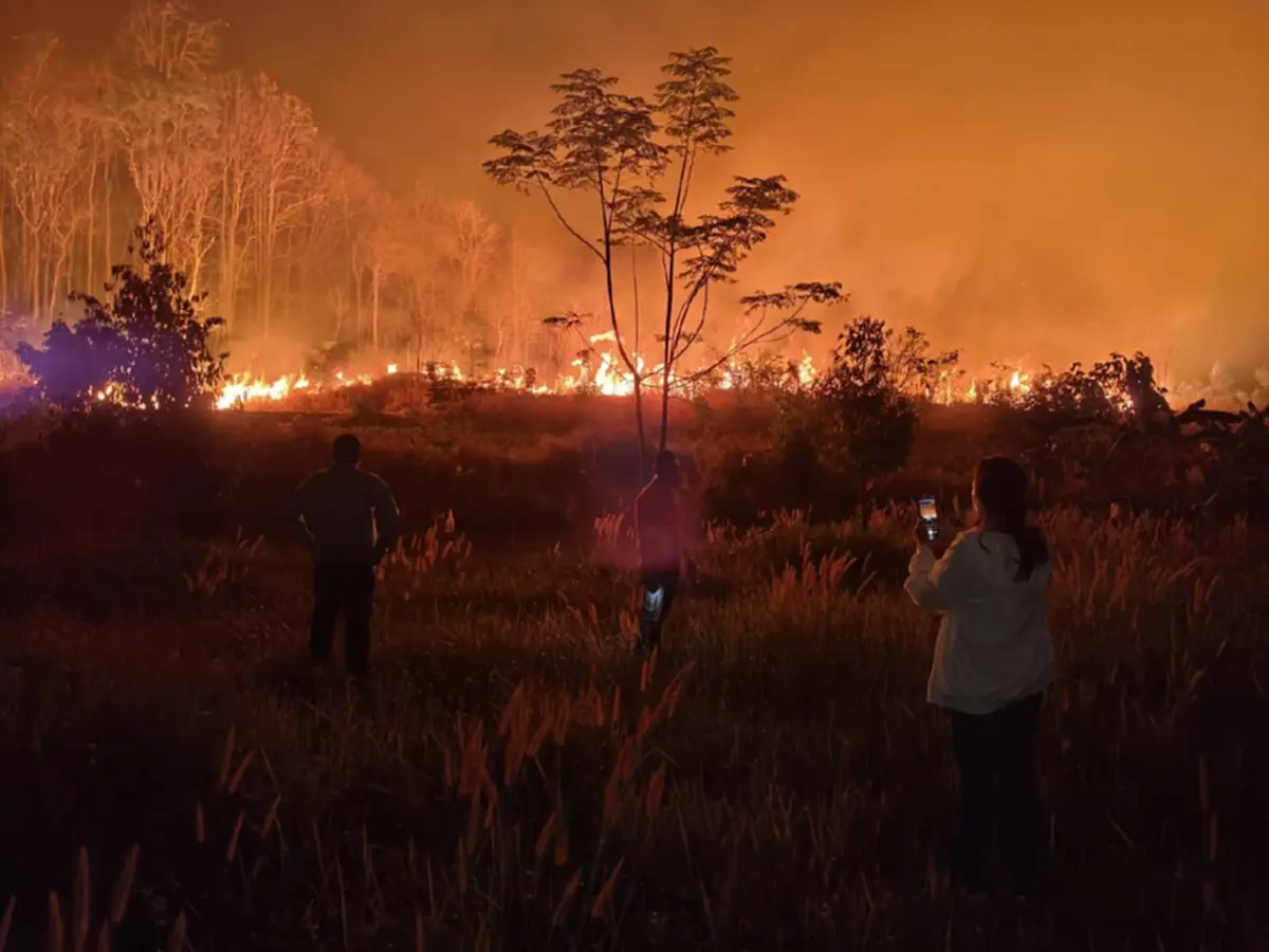 ไฟป่าสะแกราชลามหนัก เสียหายวงกว้าง เจ้าหน้าที่ยังคงเฝ้าระวัง