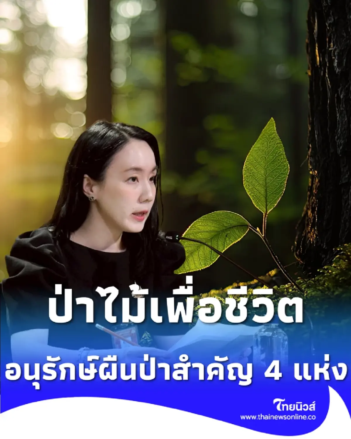 ครม. ไฟเขียว โครงการ ป่าไม้เพื่อชีวิต พลิกฟื้นผืนป่า 4 พื้นที่สำคัญทั่วไทย